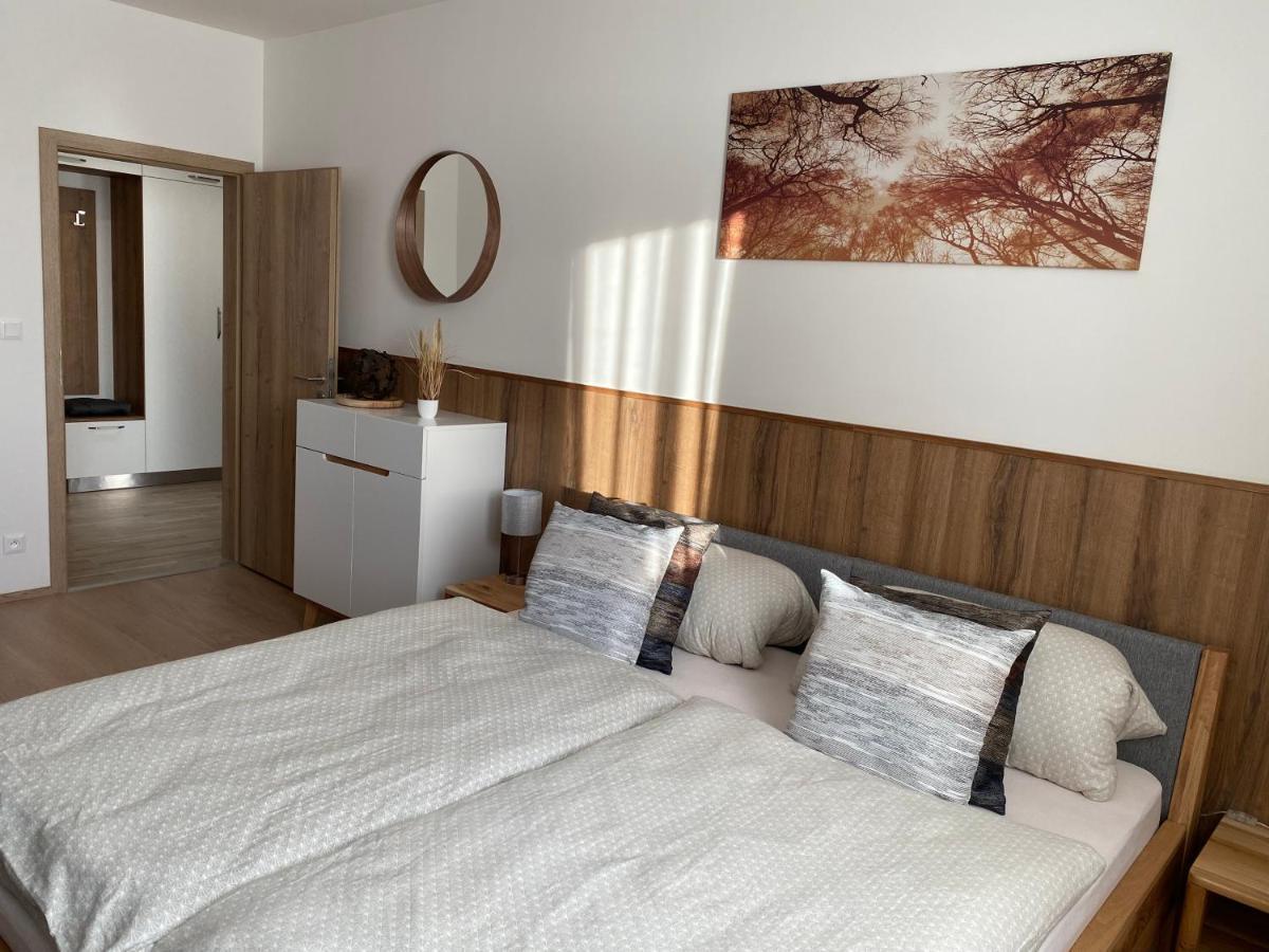 Apartment Petra Klinovec Loučná pod Klínovcem Kültér fotó